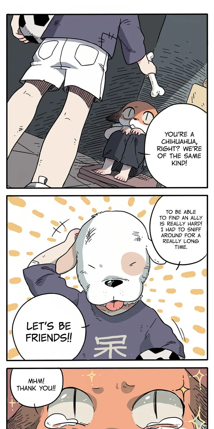Read Loser Fox (Colored) chapter 1 image 6 on Lezhin
