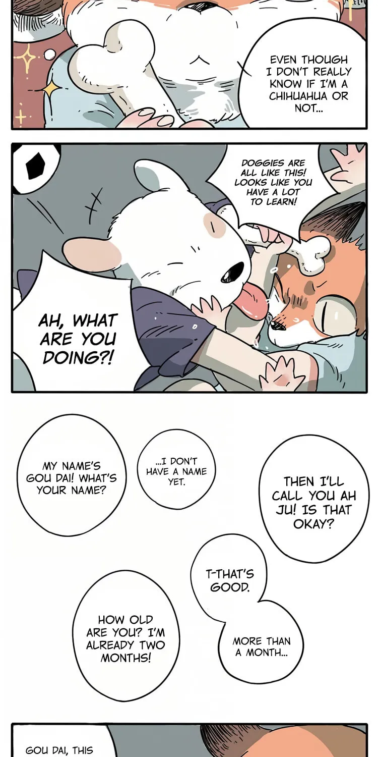 Read Loser Fox (Colored) chapter 1 image 7 on Lezhin