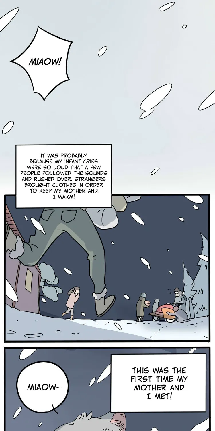 Read Loser Fox (Colored) chapter 13.5 image 18 on Lezhin