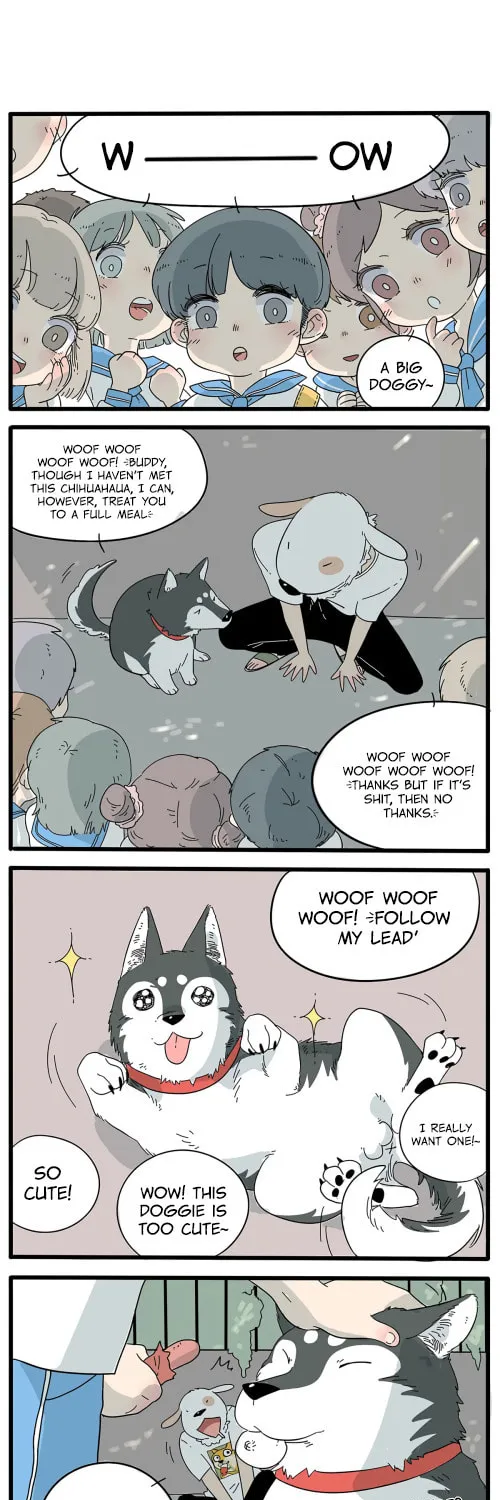Read Loser Fox (Colored) chapter 6 image 3 on Lezhin