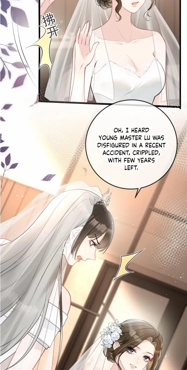 Read Lost in Him chapter 1 image 15 on Lezhin