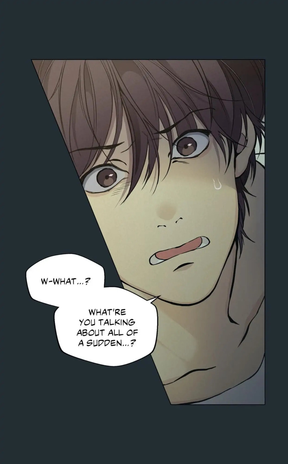Lost in the Cloud Chapter 36 page 15 - 