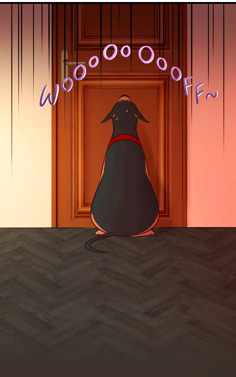 Read Love 4 a Walk chapter 1 image 16 on Lezhin
