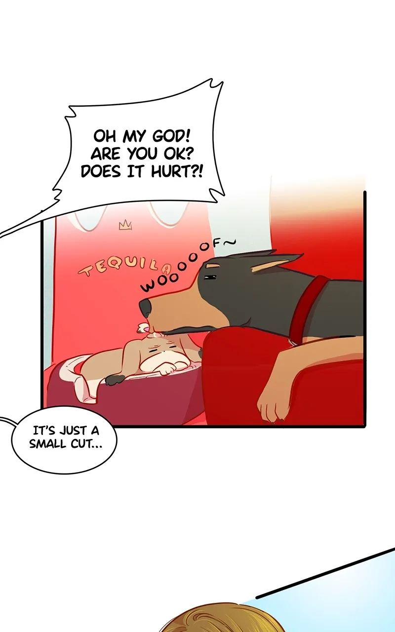Read Love 4 a Walk chapter 10 image 48 on Lezhin
