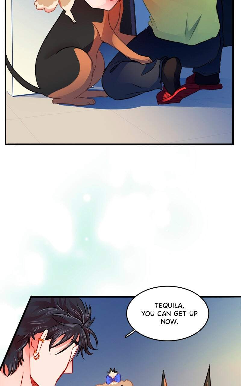 Love 4 a Walk Chapter 117 page 67 - 
