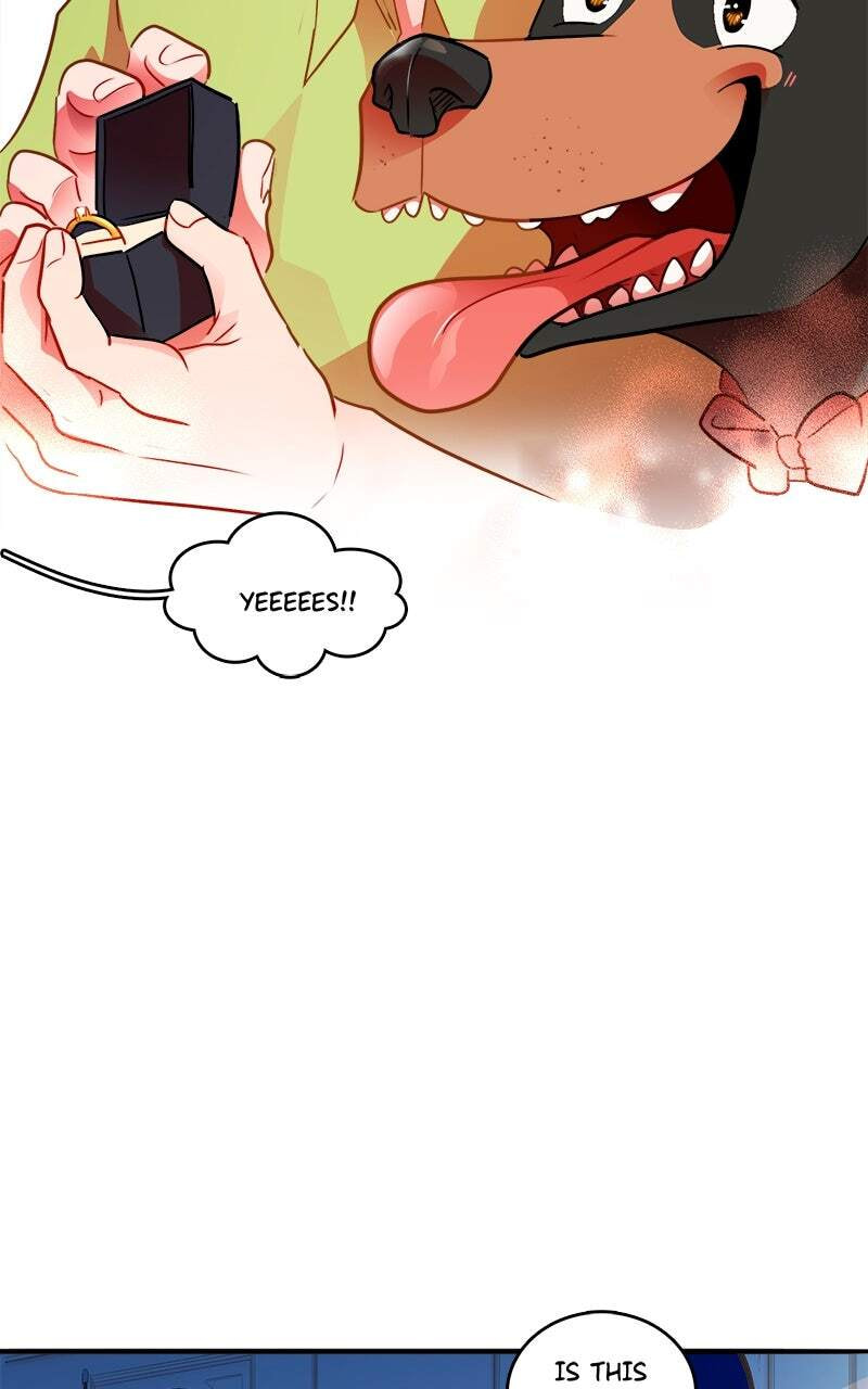 Love 4 a Walk Chapter 118 page 23 - 