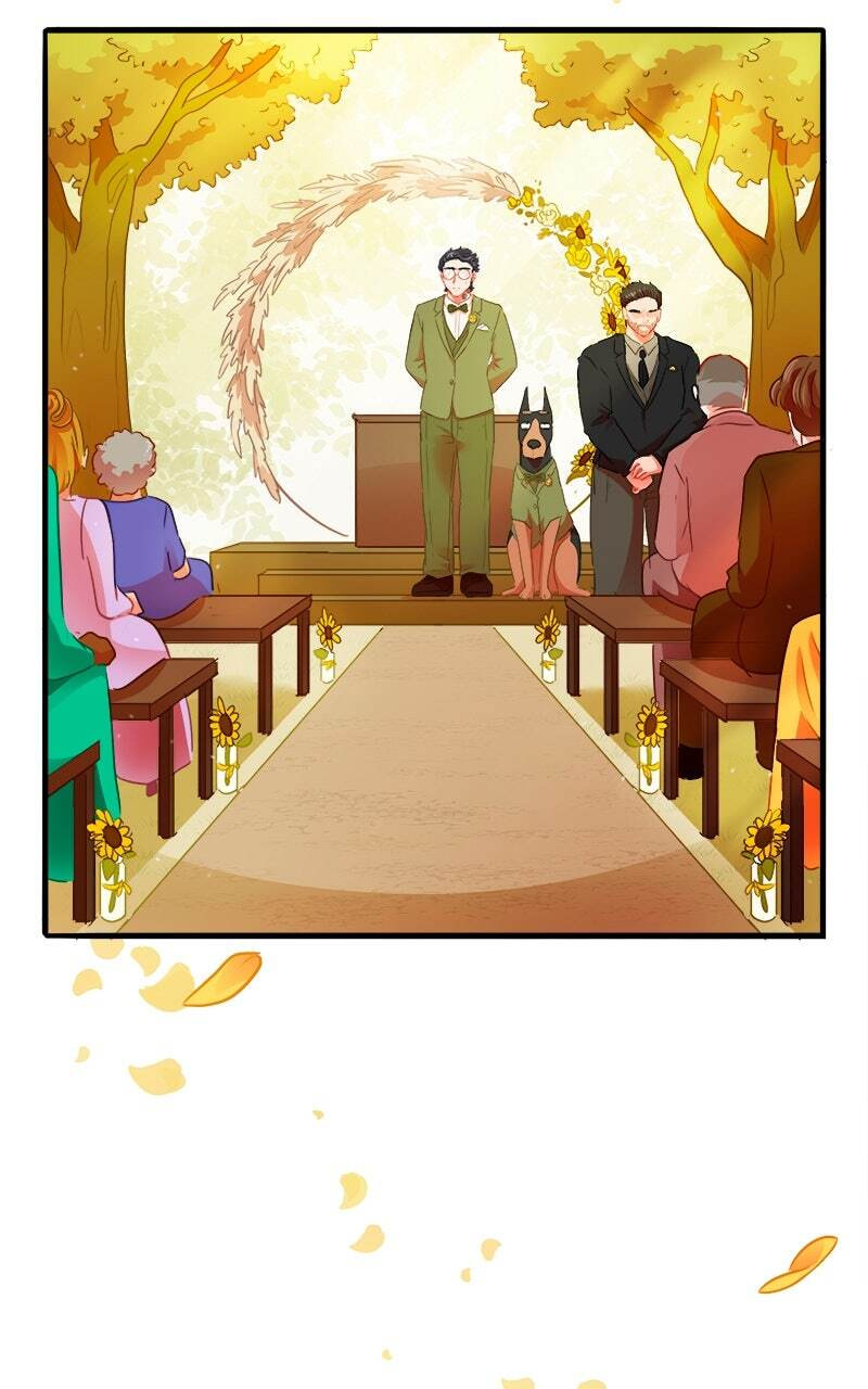 Love 4 a Walk Chapter 118 page 62 - 