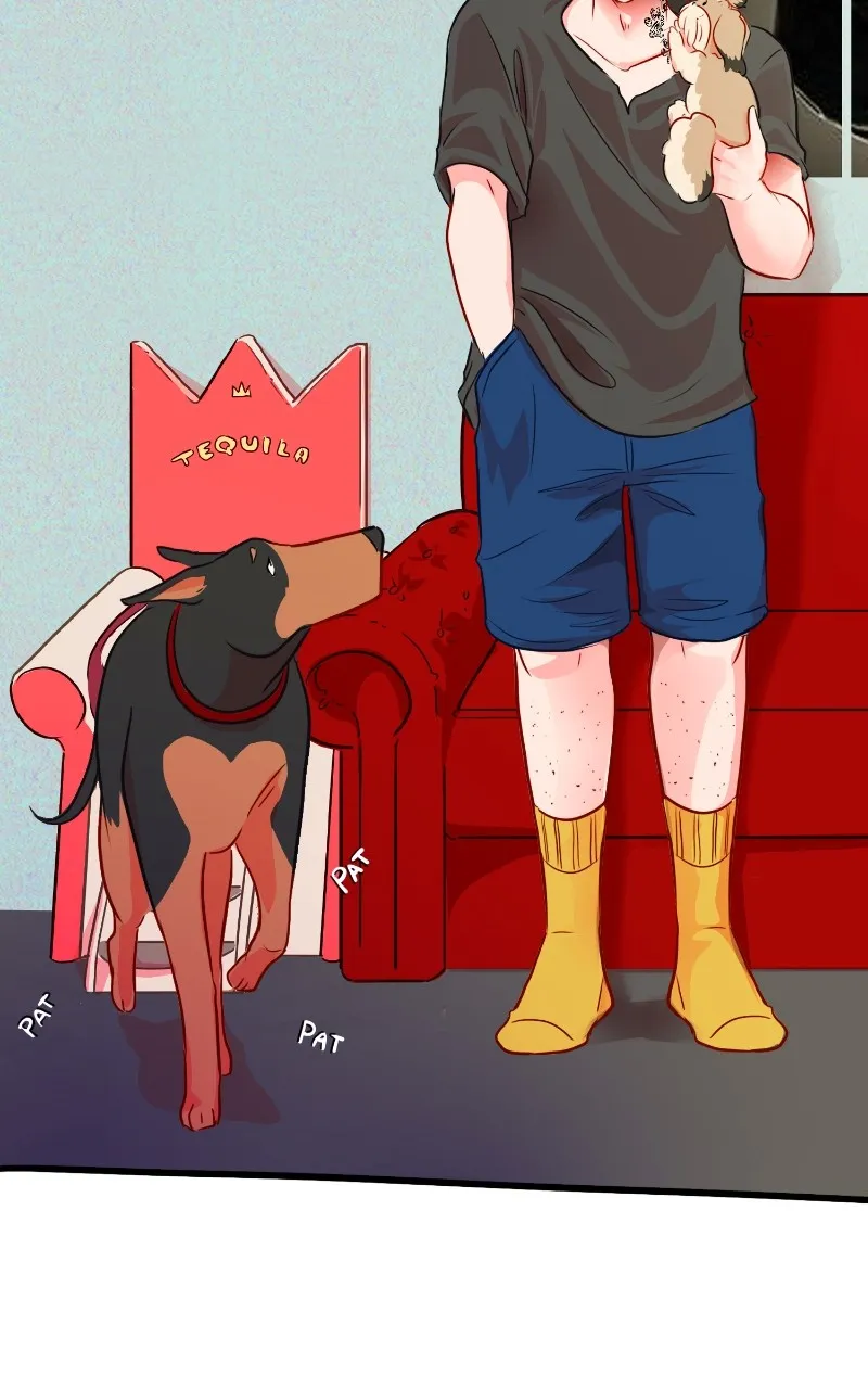 Read Love 4 a Walk chapter 12 image 19 on Lezhin