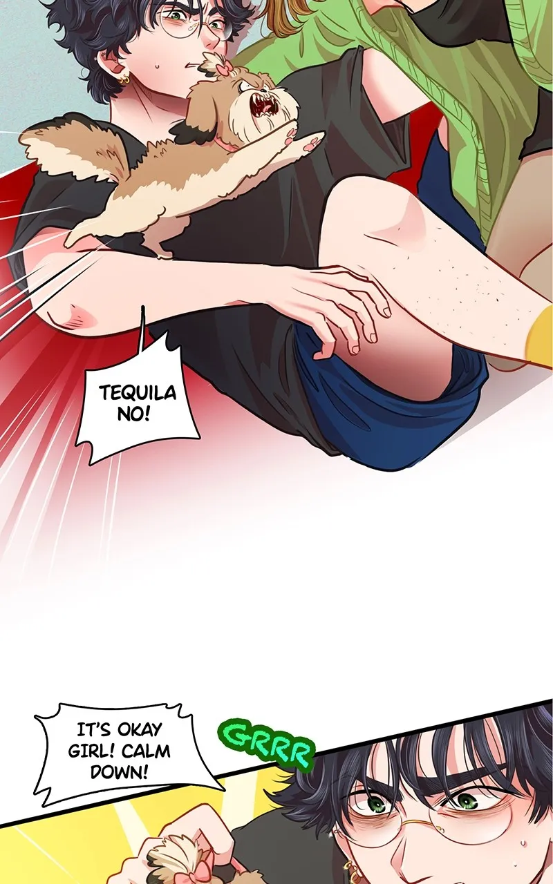 Read Love 4 a Walk chapter 12 image 5 on Lezhin