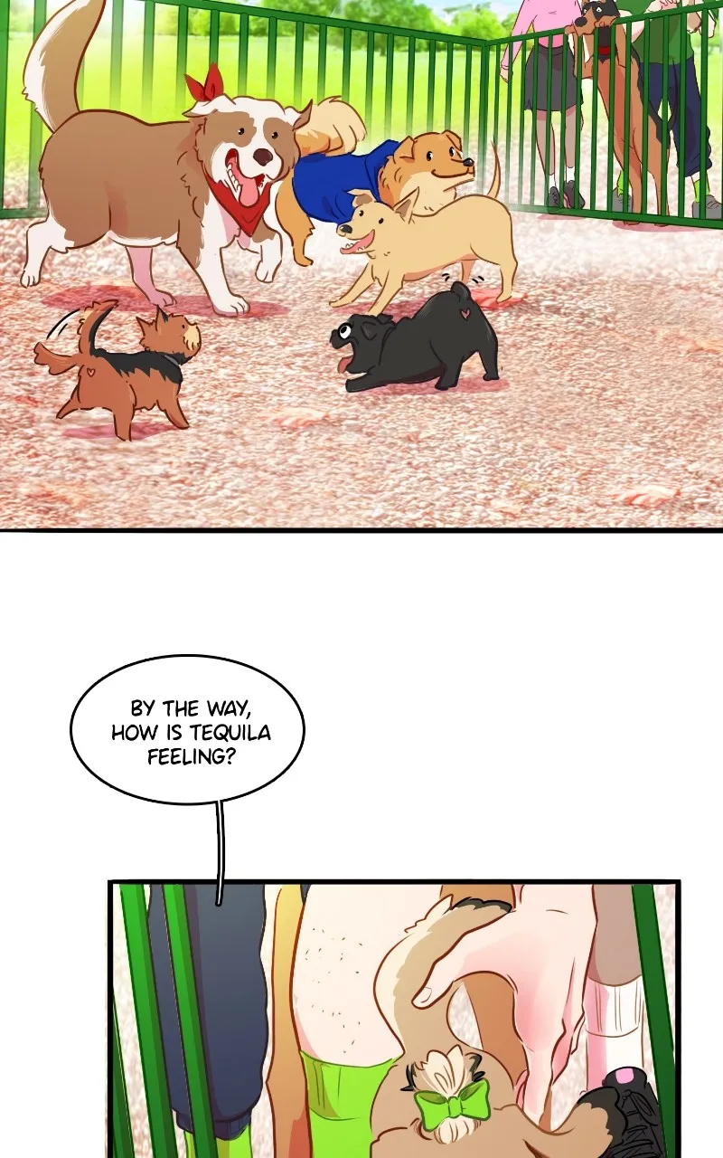 Read Love 4 a Walk chapter 16 image 28 on Lezhin