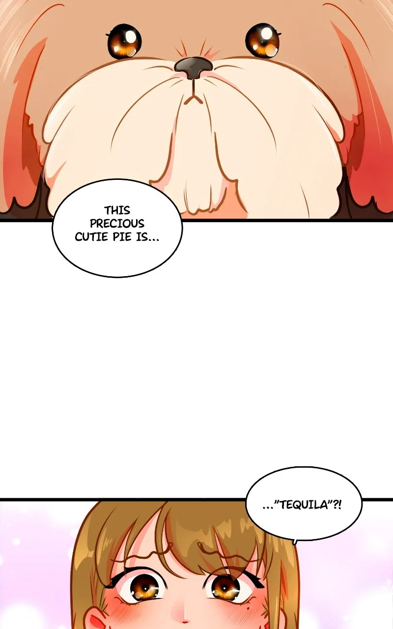 Read Love 4 a Walk chapter 2 image 76 on Lezhin