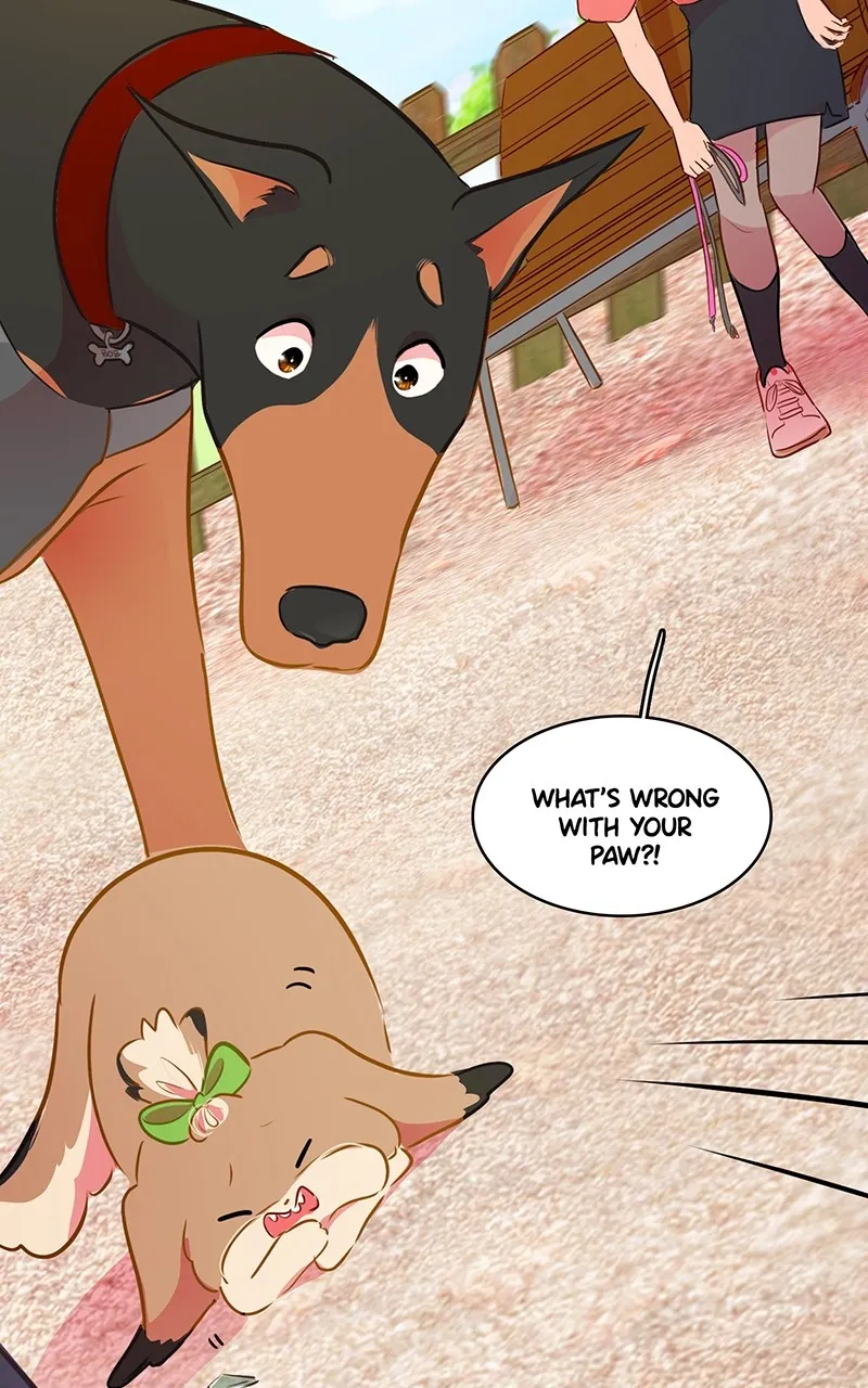 Read Love 4 a Walk chapter 42 image 1 on Lezhin
