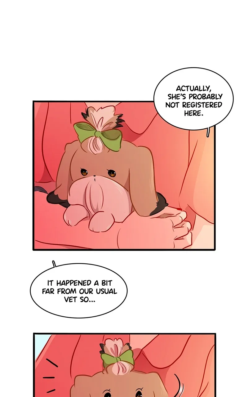 Read Love 4 a Walk chapter 42 image 12 on Lezhin