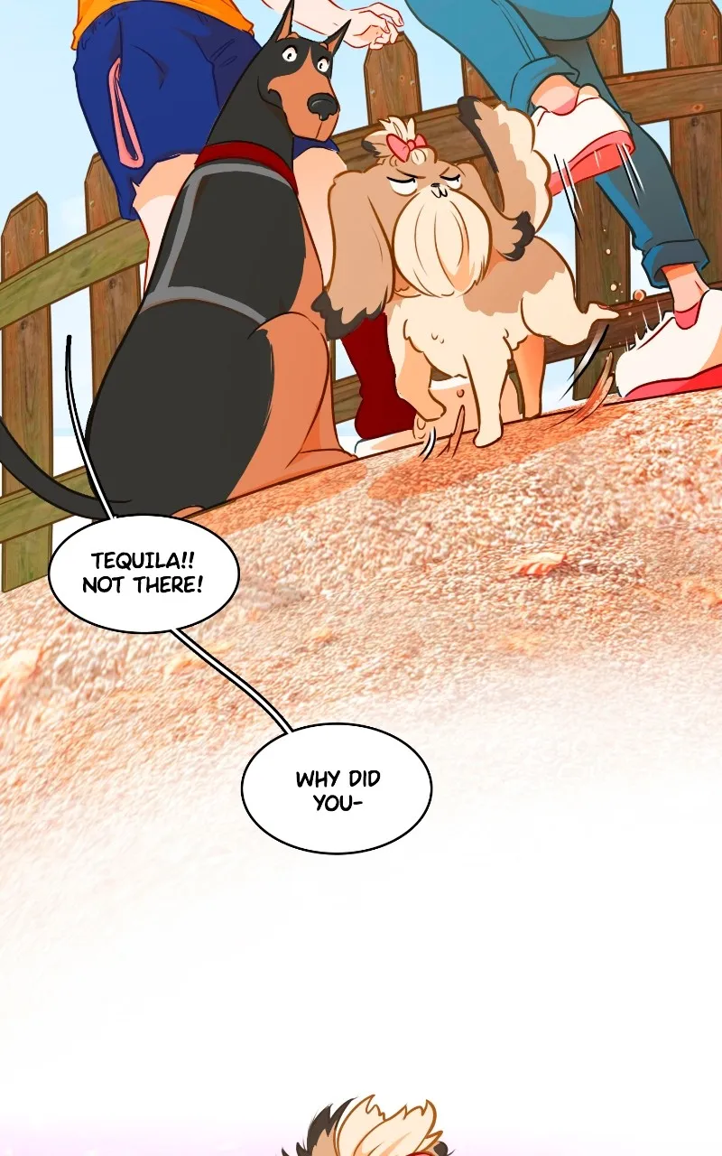 Read Love 4 a Walk chapter 6 image 61 on Lezhin