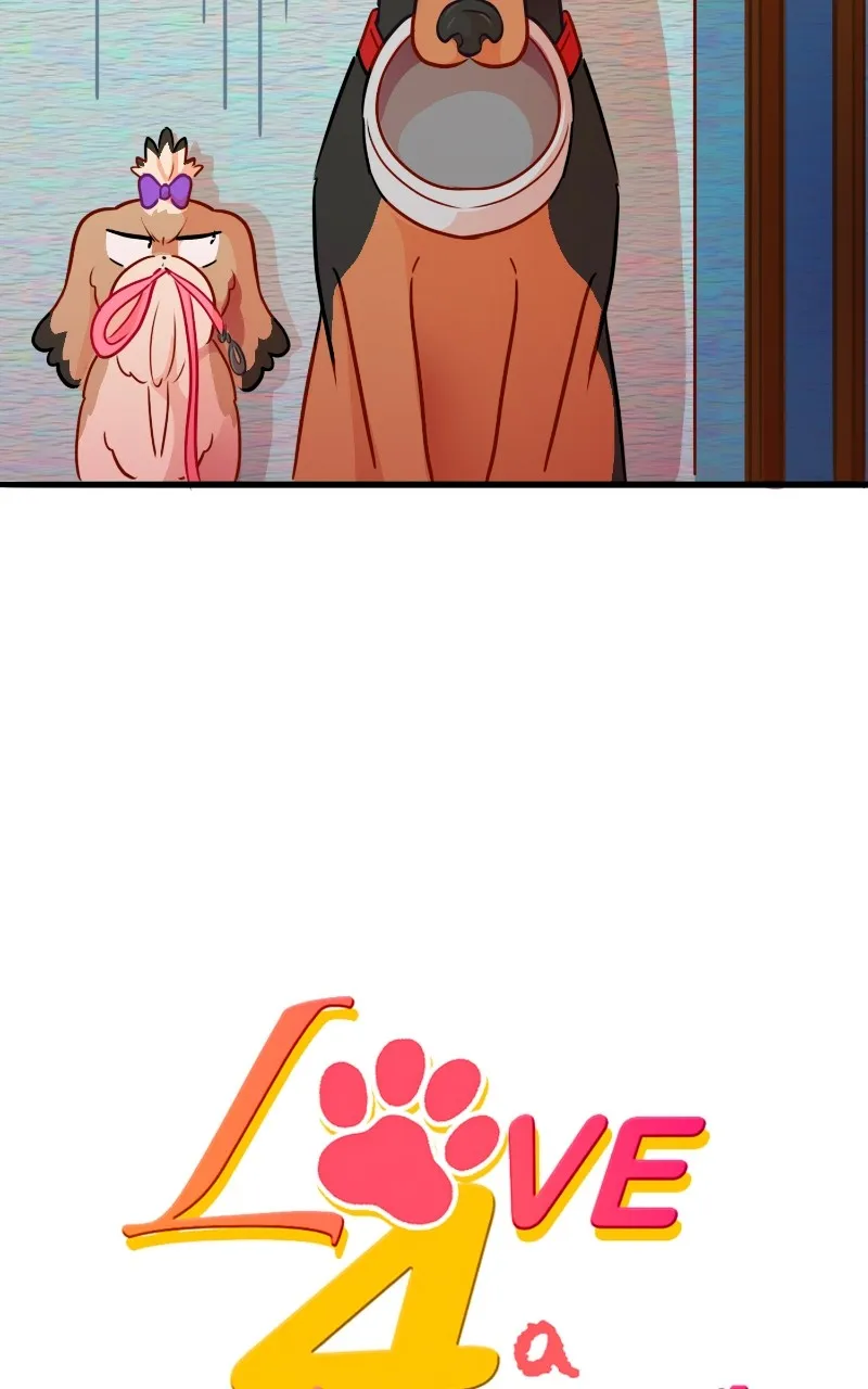 Read Love 4 a Walk chapter 64 image 4 on Lezhin