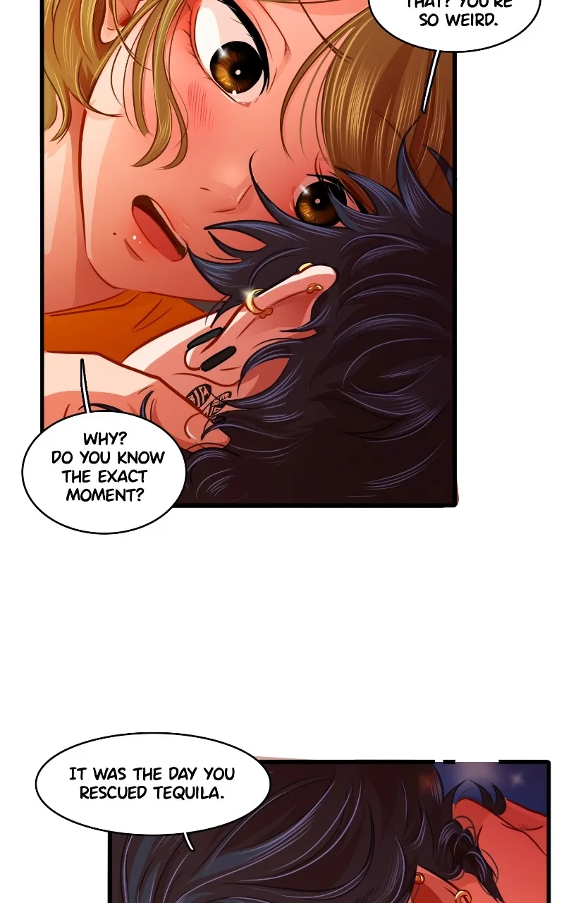 Read Love 4 a Walk chapter 64 image 7 on Lezhin
