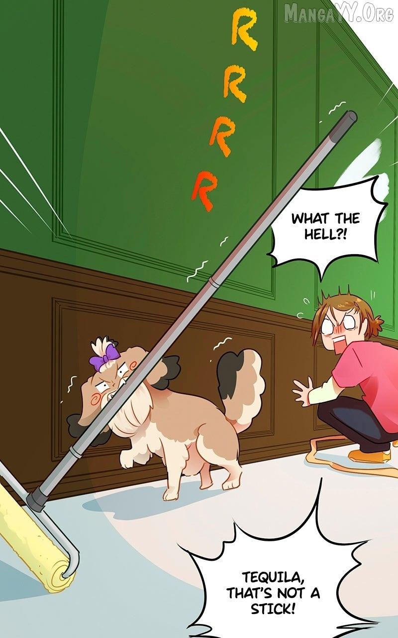 Read Love 4 a Walk chapter 83 image 17 on Lezhin
