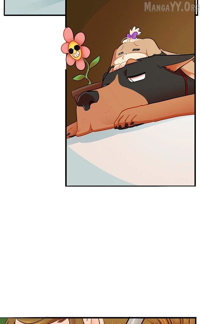 Read Love 4 a Walk chapter 83 image 21 on Lezhin