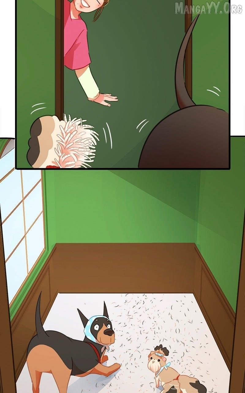 Read Love 4 a Walk chapter 83 image 35 on Lezhin