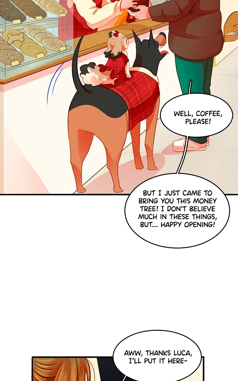 Read Love 4 a Walk chapter 96 image 11 on Lezhin