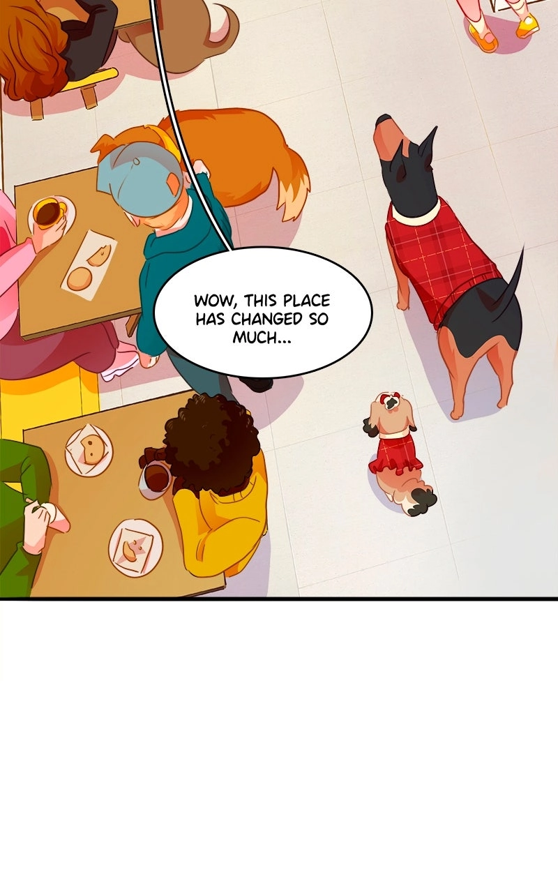 Read Love 4 a Walk chapter 96 image 47 on Lezhin