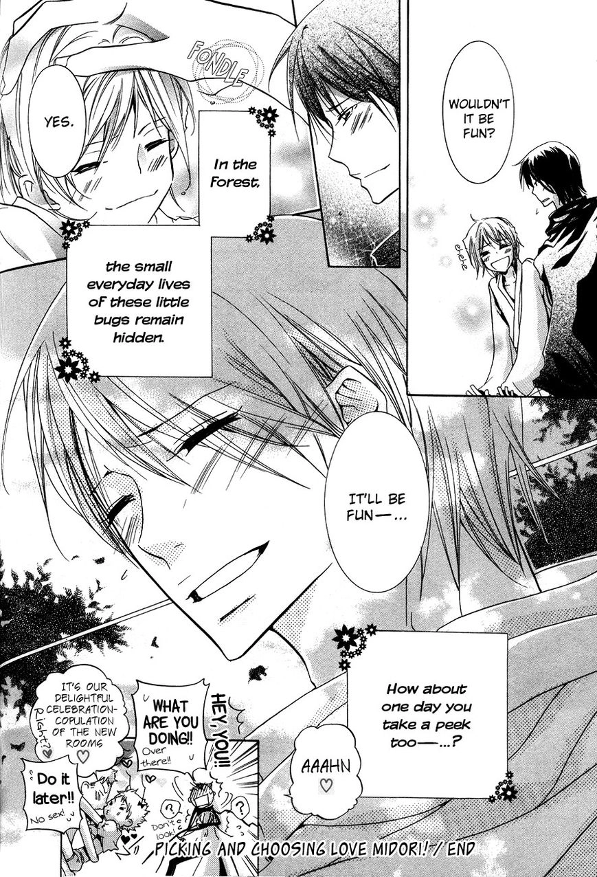 Read Love Bug Addiction chapter 2.3 image 12 on Lezhin