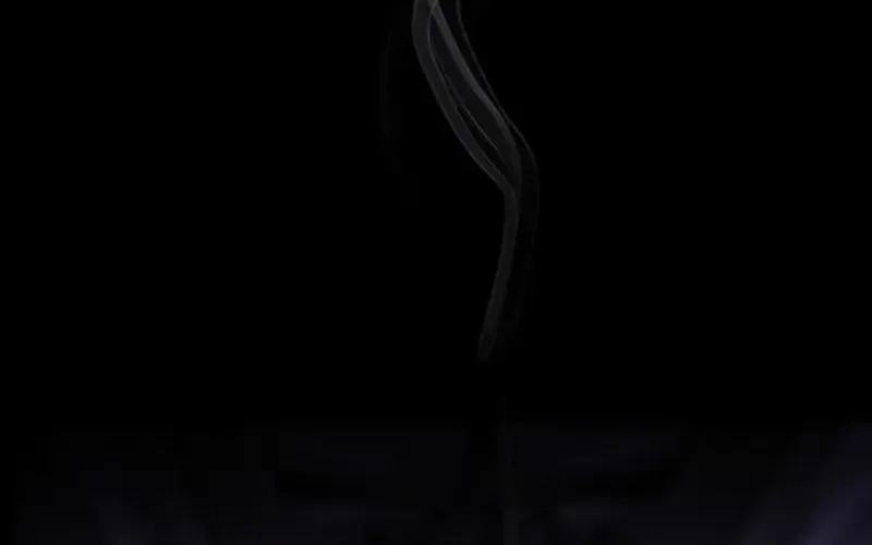Read Love by Mistake chapter 77.1 image 38 on Lezhin