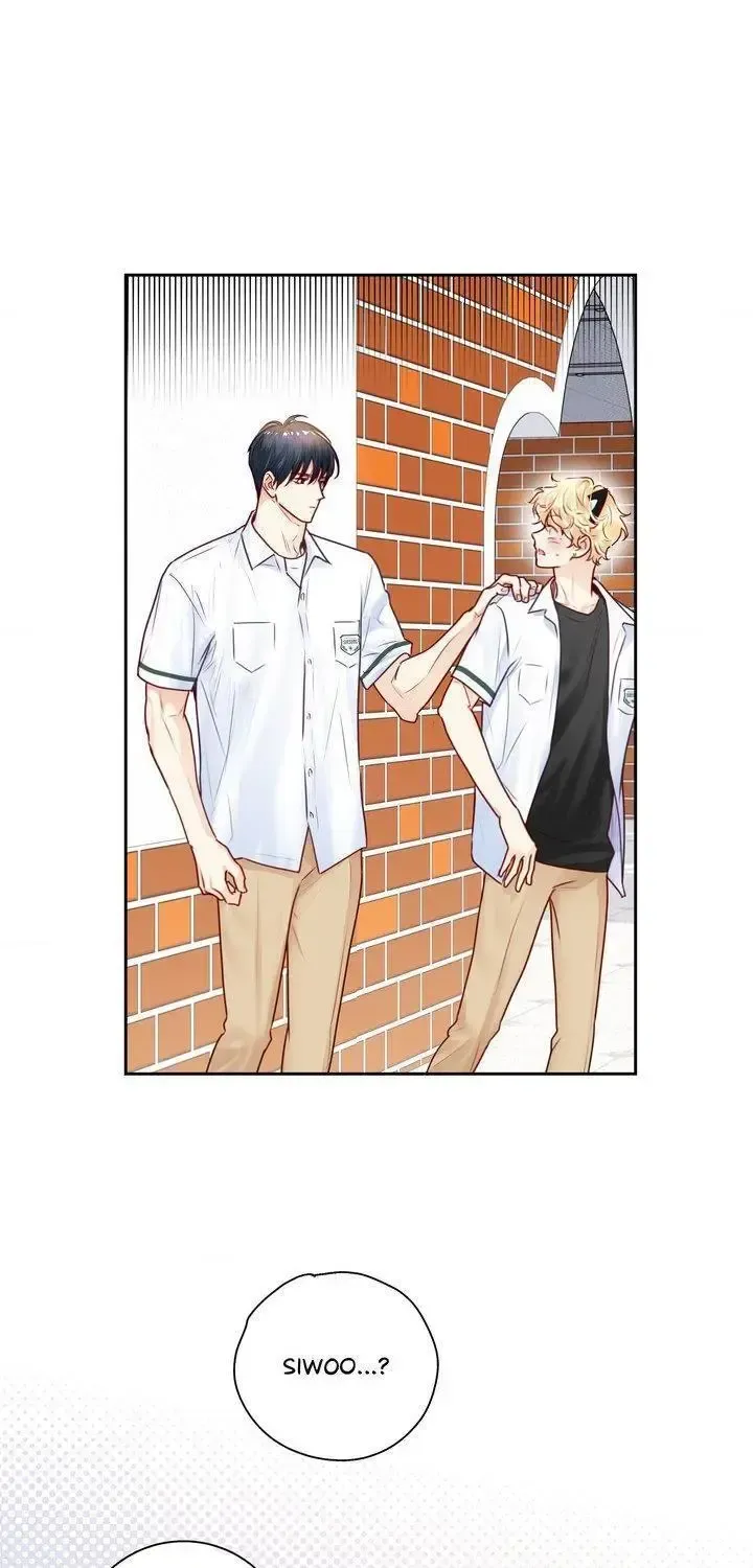 Read Love Is an Illusion! chapter 153 image 8 on Lezhin