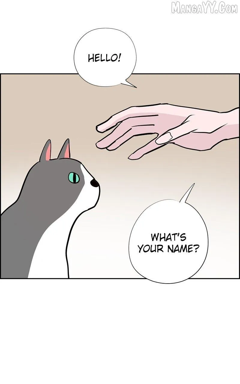 Read Love Letter chapter 22 image 86 on Lezhin