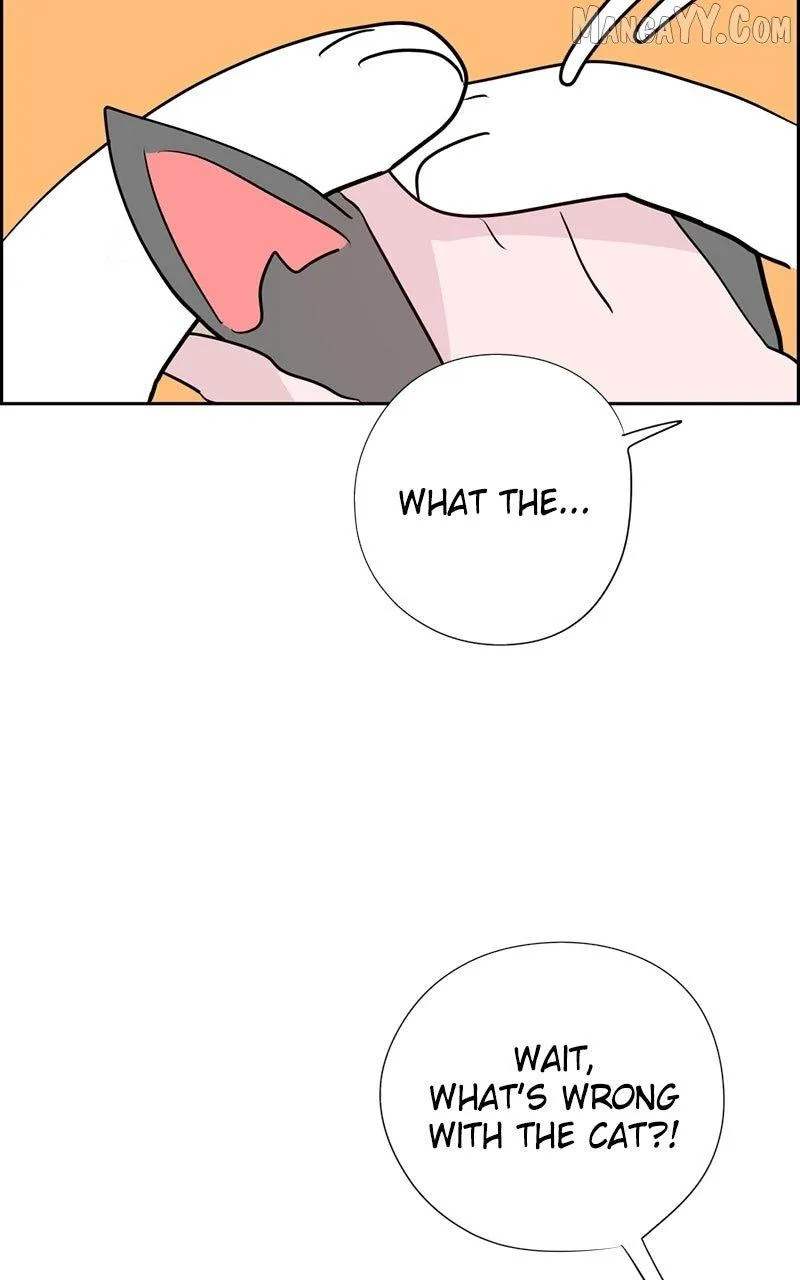 Read Love Letter chapter 22 image 89 on Lezhin
