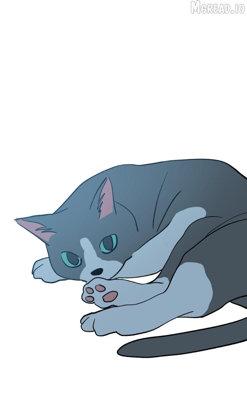 Read Love Letter chapter 46 image 112 on Lezhin
