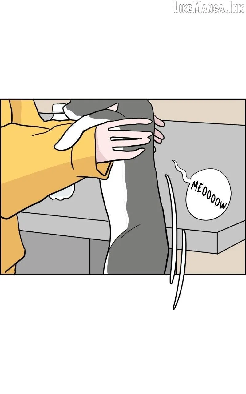 Read Love Letter chapter 62 image 6 on Lezhin