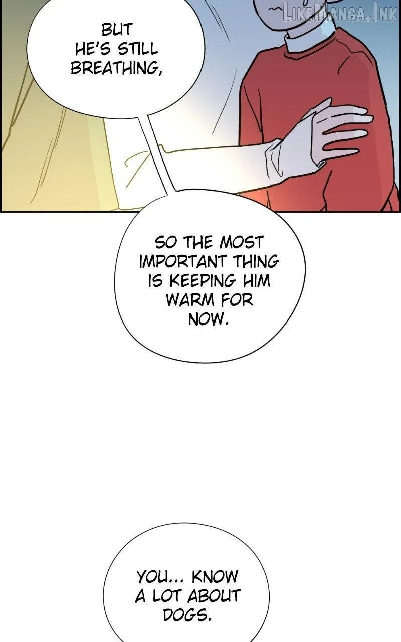 Read Love Letter chapter 64 image 58 on Lezhin
