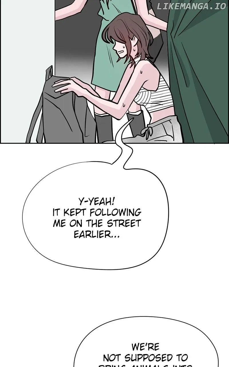 Read Love Letter chapter 8 image 40 on Lezhin