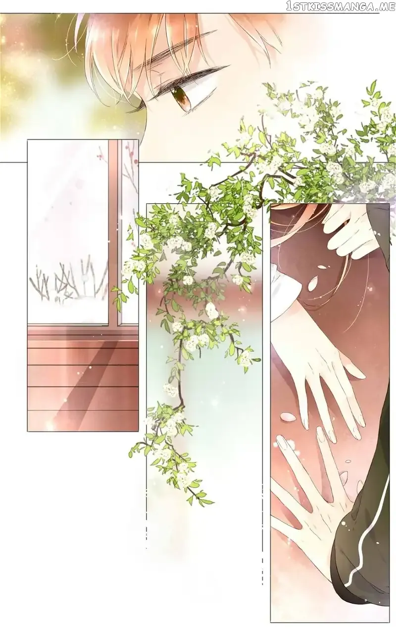 Read Love Like Cherry Blossoms chapter 42 image 5 on Lezhin