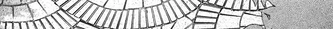 Read Love Lucky! chapter 56 image 1 on Lezhin