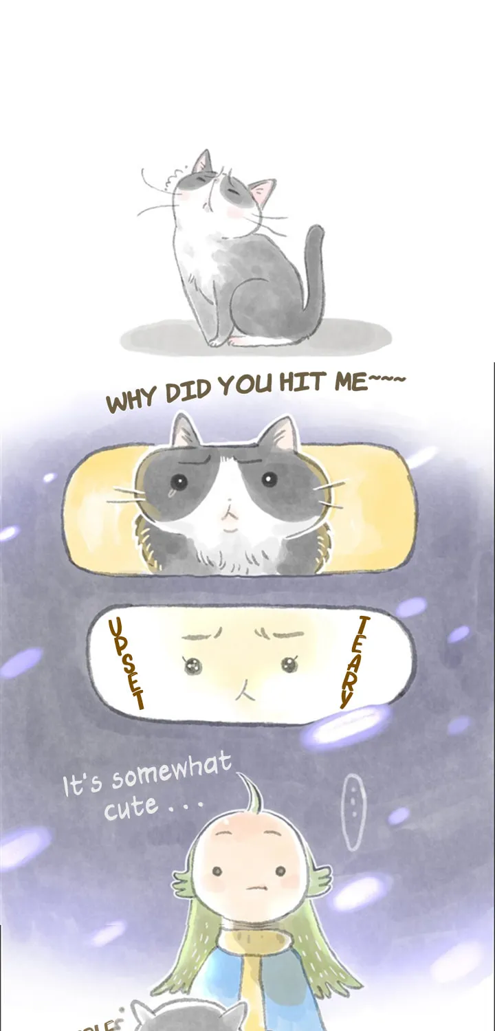 Read Love My Cat chapter 2 image 2 on Lezhin