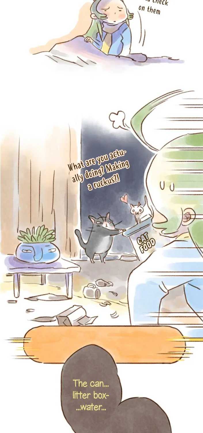 Read Love My Cat chapter 22 image 6 on Lezhin