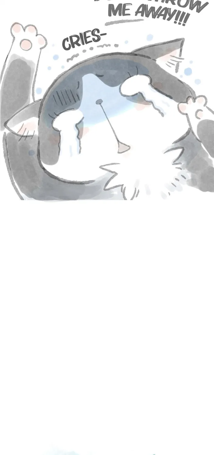 Read Love My Cat chapter 3 image 3 on Lezhin