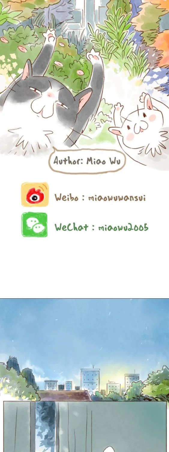 Read Love My Cat chapter 32 image 7 on Lezhin