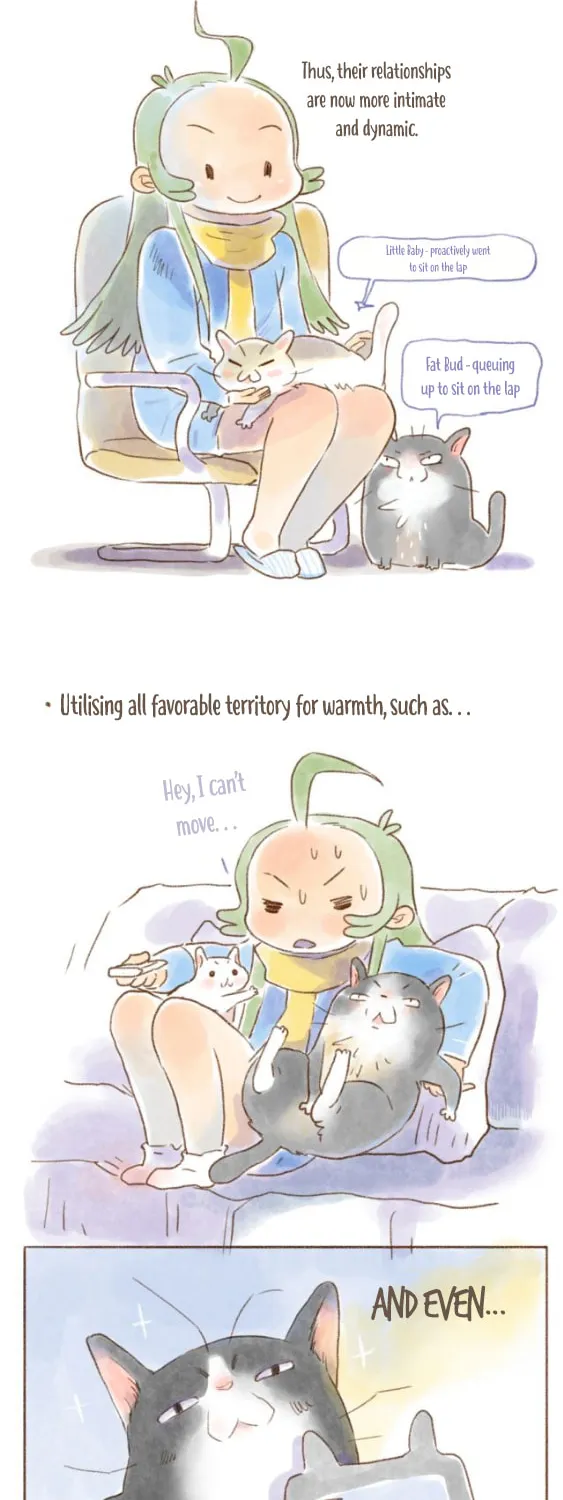Read Love My Cat chapter 32 image 9 on Lezhin