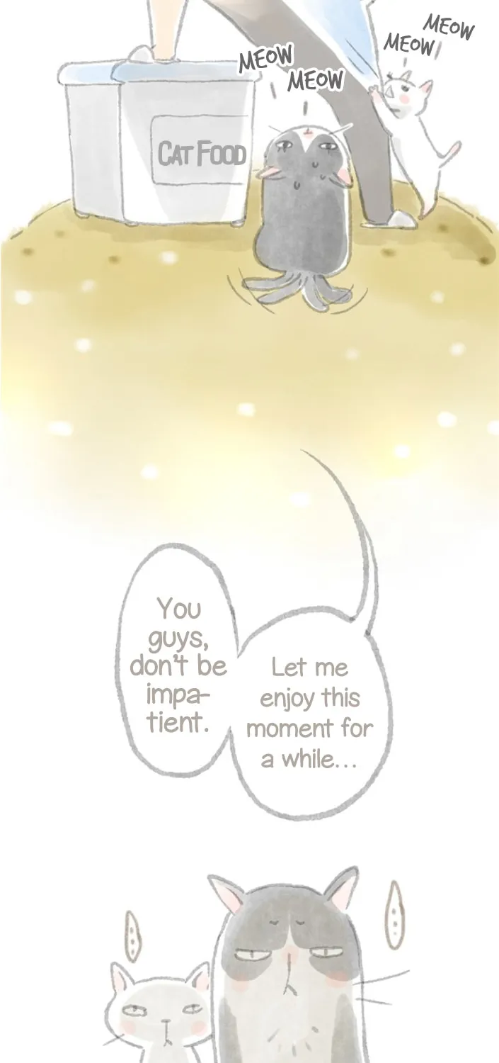 Read Love My Cat chapter 5 image 5 on Lezhin