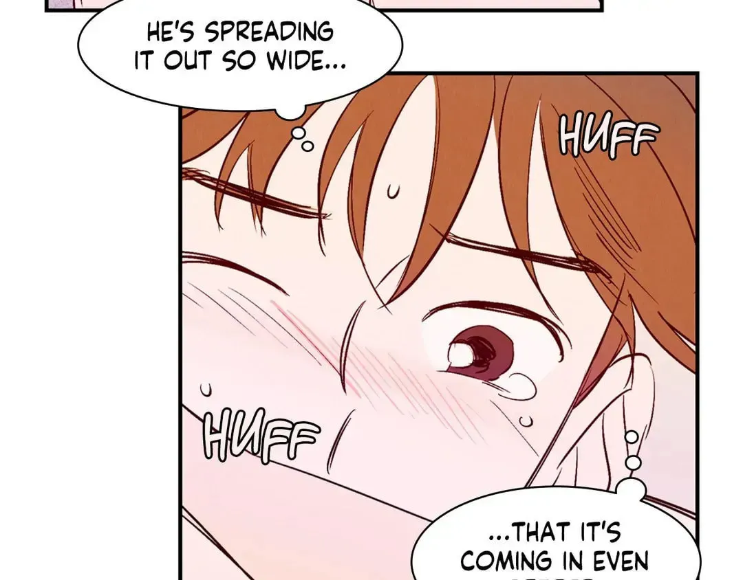 Love of Cloud and Rain Chapter 11.5 page 14 - 