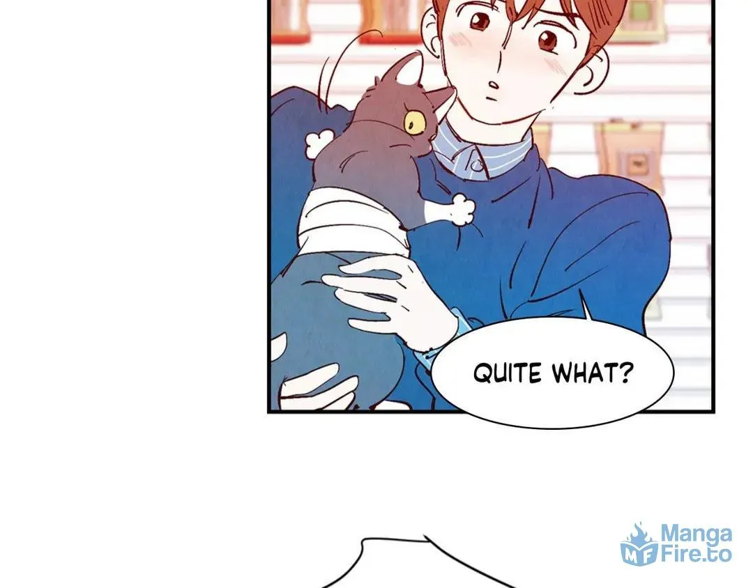 Love of Cloud and Rain Chapter 27.5 page 3 - 