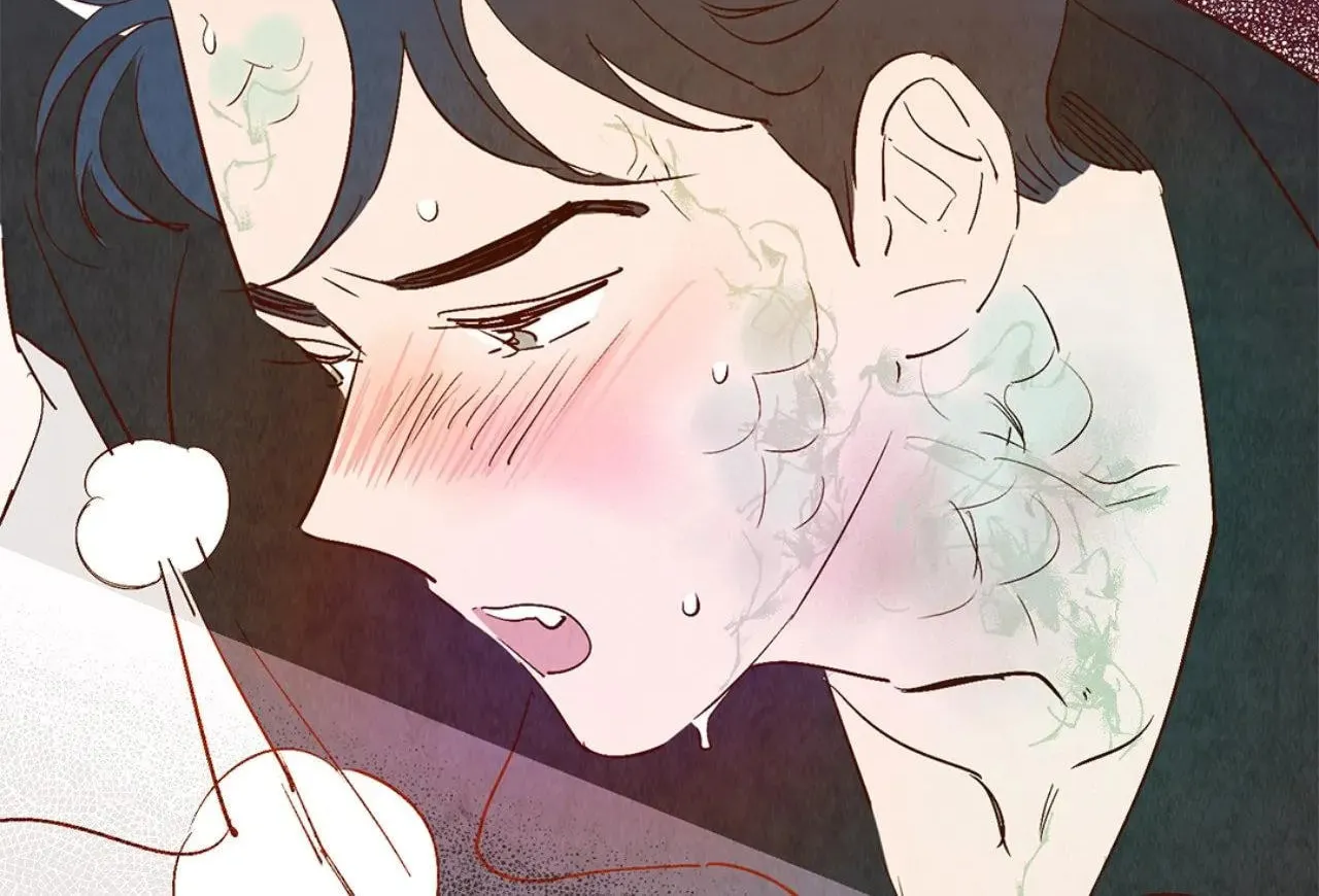 Love of Cloud and Rain Chapter 31.5 page 13 - 