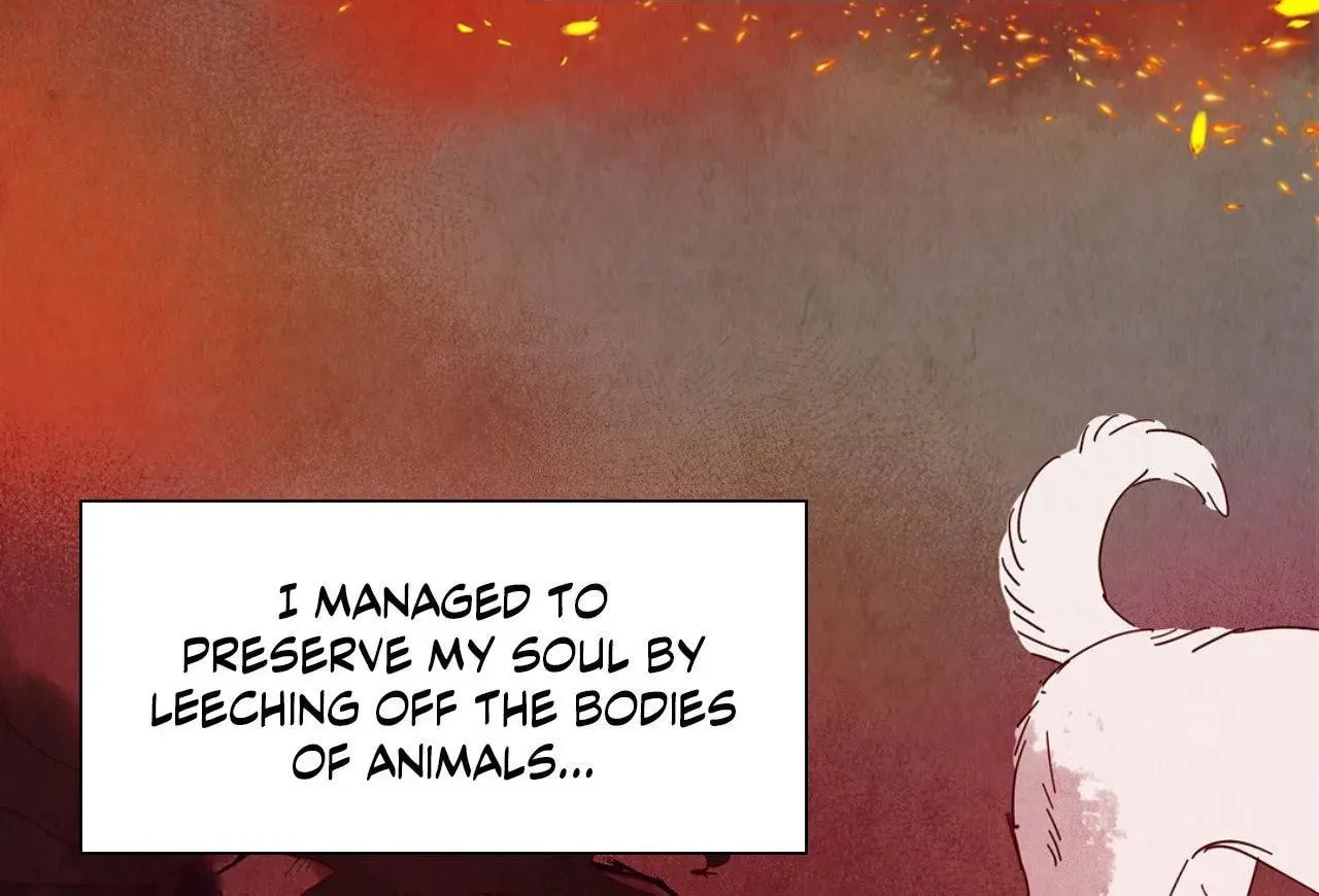 Love of Cloud and Rain Chapter 34.5 page 41 - 