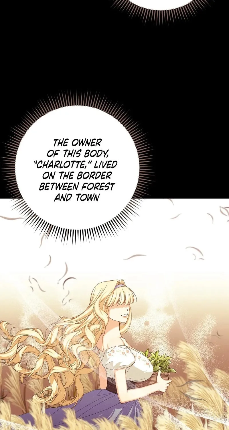 Read Love Potion Panic chapter 1 image 37 on Lezhin