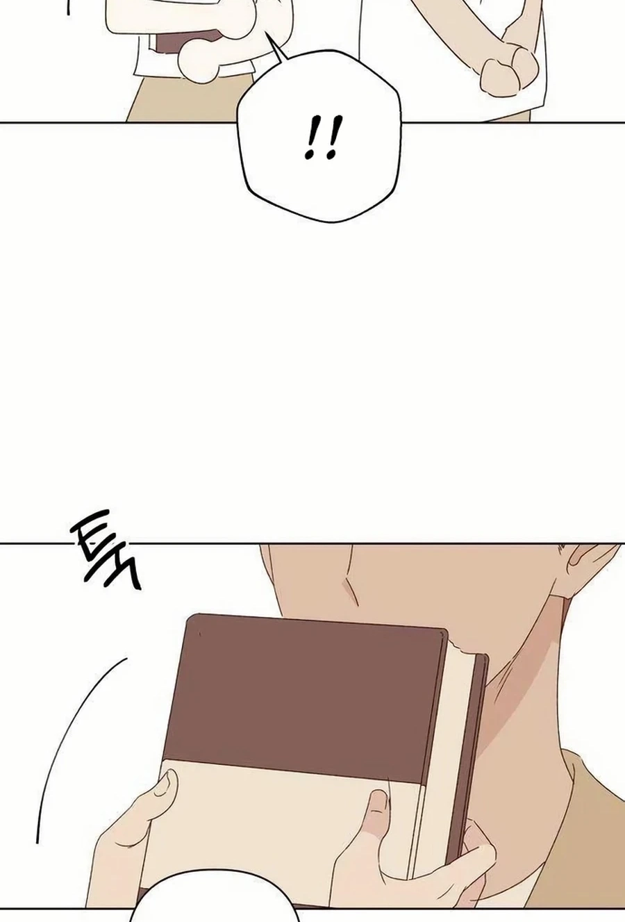 Love That Crosses the Line Chapter 474 page 49 - 