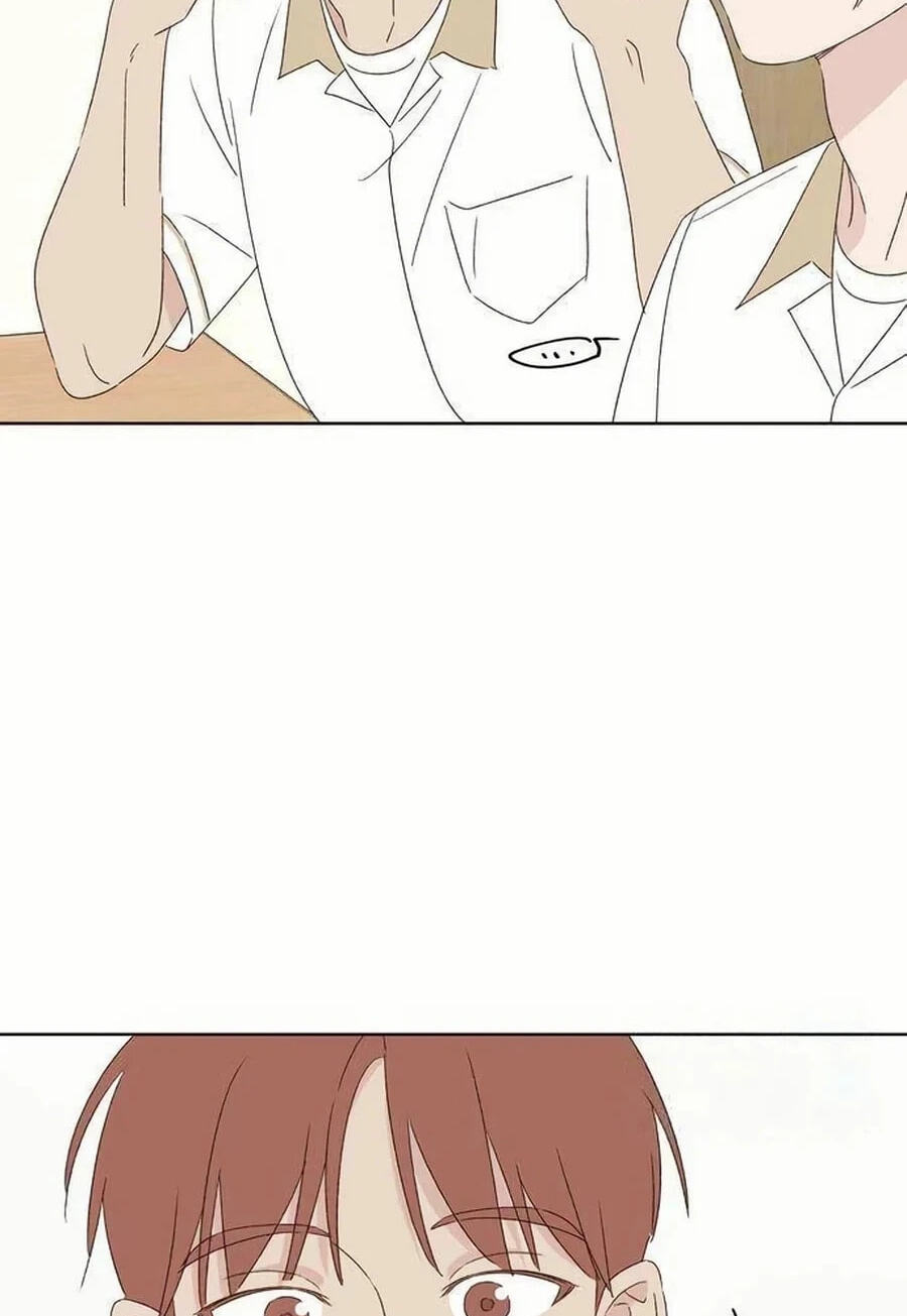 Love That Crosses the Line Chapter 50 page 48 - 