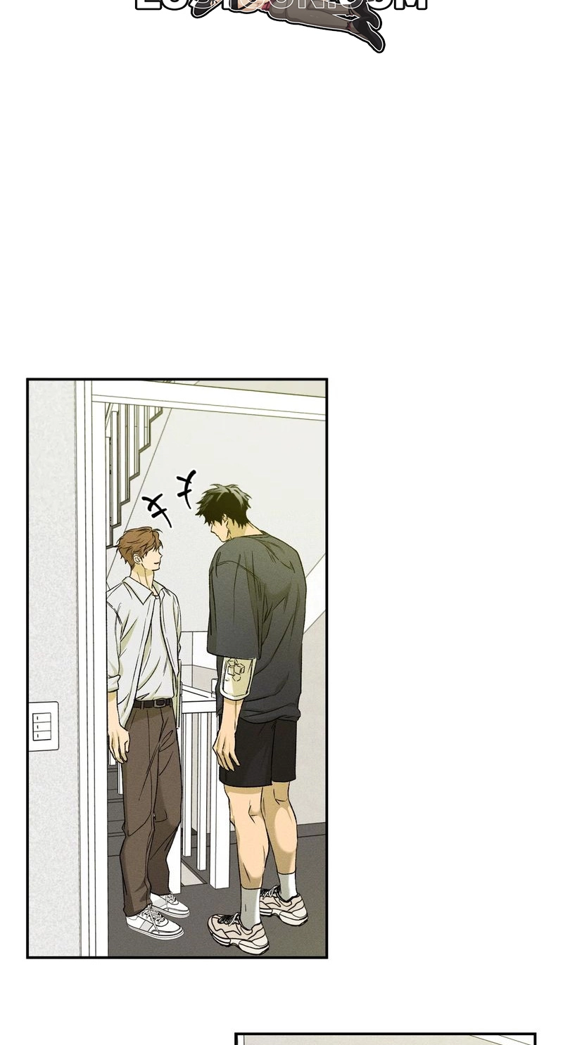 Read Love Upset chapter 21 image 22 on Lezhin